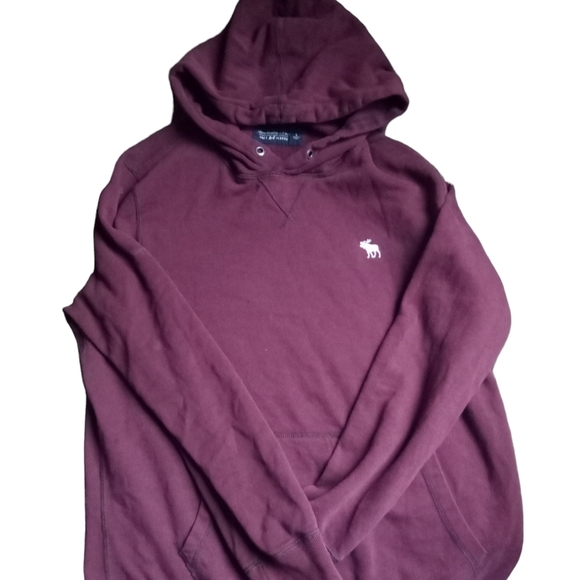 Abercrombie and Fitch hoodie L - Picture 1 of 5